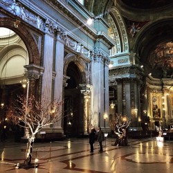 Gli alberi e la navata